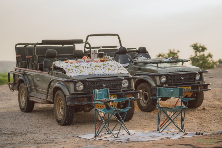 Leopard Safari